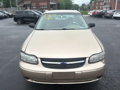 Used 2005 Chevrolet Malibu Classic FWD image 2