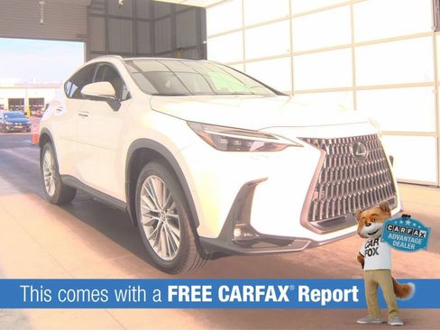 Used 2025 Lexus NX 350h AWD w/ Rear Seat Package image 2