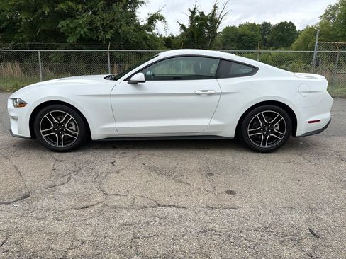 Used 2019 Ford Mustang EcoBoost Premium Coupe 2D w/ Equipment Group 101A RWD image 5