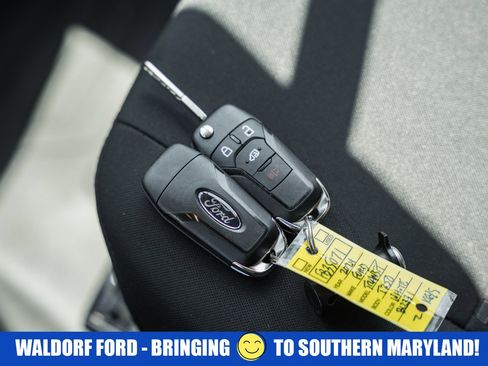 Used 2024 Ford Transit 250 Low Roof w/ Exterior Upgrade Package RWD image 44