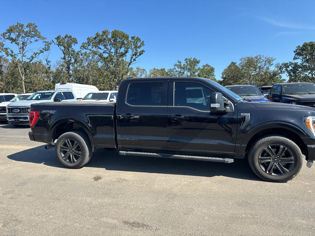 Used 2022 Ford F150 XLT w/ Equipment Group 302A High AWD/4WD image 4