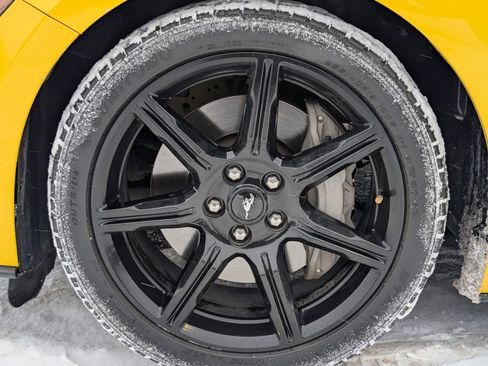 Used 2018 Ford Mustang GT w/ Equipment Group 301A image 11