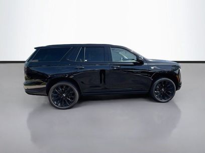 Certified 2025 Cadillac Escalade Sport Platinum w/ LPO, ONYX Package
