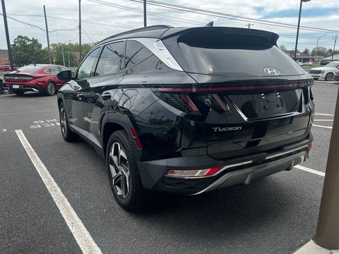 Certified 2023 Hyundai Tucson Limited w/ Cargo Package AWD/4WD image 6