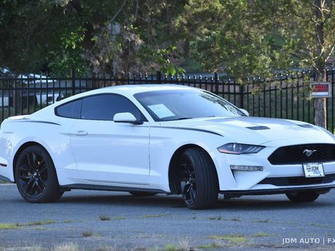 Used 2018 Ford Mustang Coupe w/ Equipment Group 101A RWD image 4