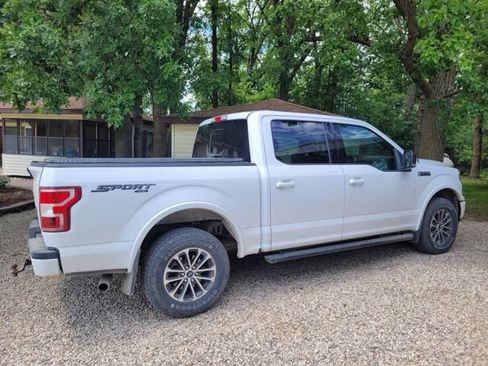 Used 2019 Ford F150 XLT w/ Equipment Group 302A Luxury AWD/4WD image 3