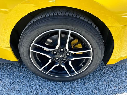 Used 2018 Ford Mustang Premium w/ Equipment Group 201A RWD image 10