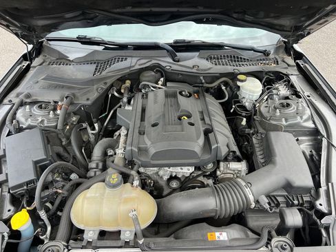 Used 2016 Ford Mustang Coupe RWD image 10