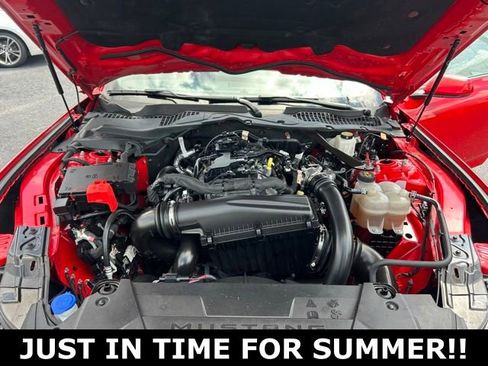 Used 2024 Ford Mustang Premium RWD image 11
