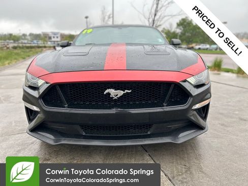 Used 2019 Ford Mustang GT w/ Equipment Group 301A RWD image 2