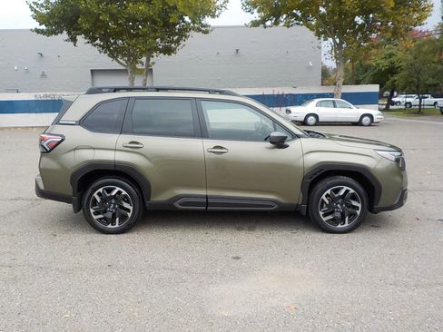 Used 2025 Subaru Forester Limited image 2