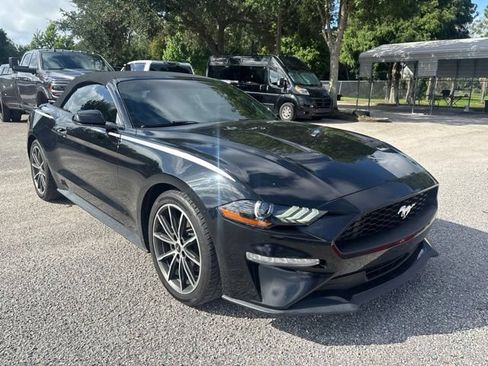 Used 2019 Ford Mustang Convertible w/ Equipment Group 101A RWD image 3