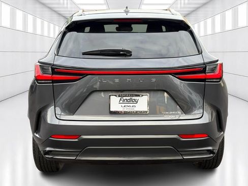Certified 2023 Lexus NX 250 AWD image 6