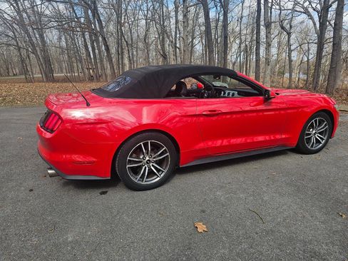 Used 2016 Ford Mustang Premium image 2