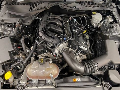 Used 2017 Ford Mustang Coupe w/ Equipment Group 051A RWD image 37