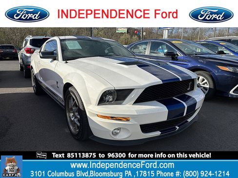 Used 2008 Ford Mustang Shelby GT500 image 1