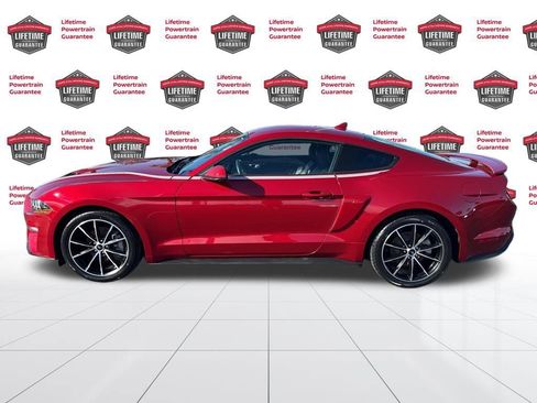 Used 2023 Ford Mustang Premium w/ Equipment Group 201A image 8