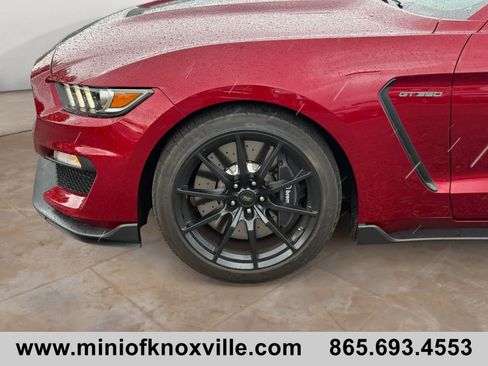 Used 2017 Ford Mustang Shelby GT350 RWD image 9