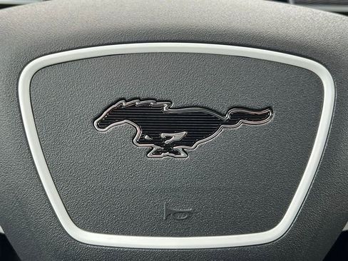 New 2025 Ford Mustang Mach-E GT w/ Interior Protection Package AWD/4WD image 23