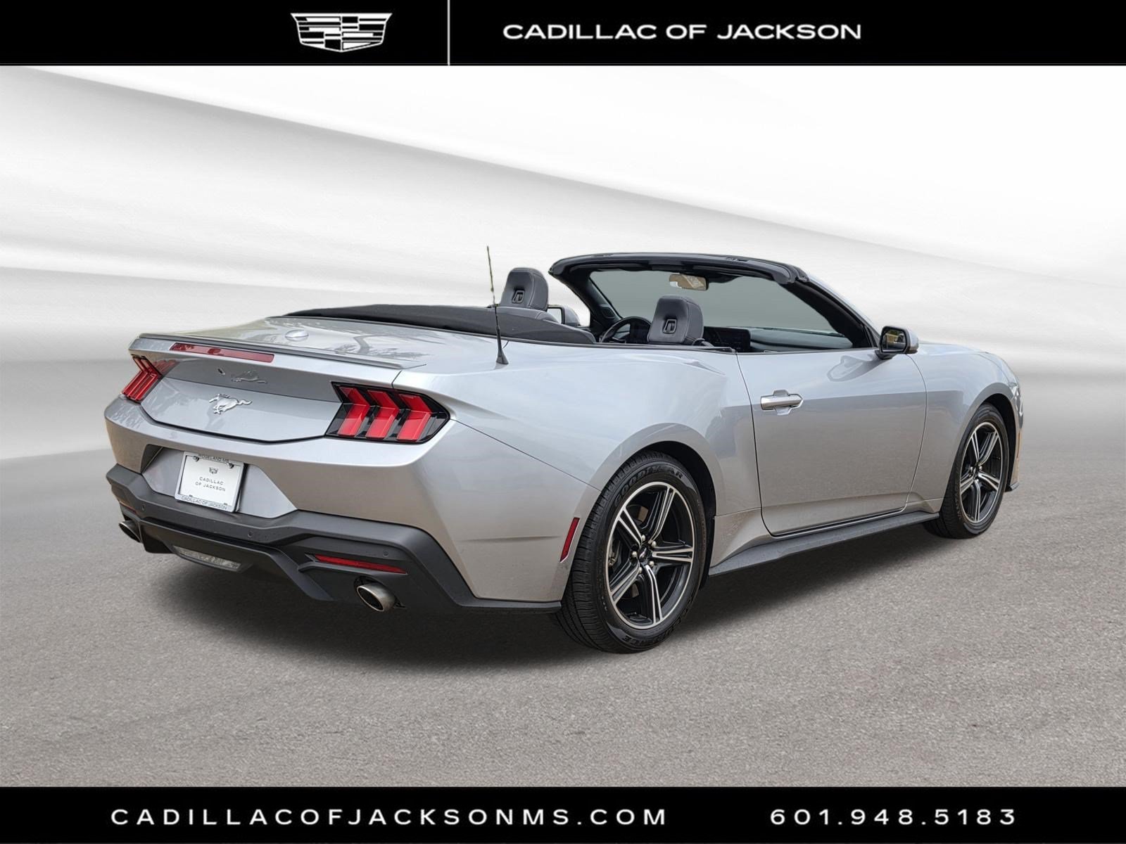 Used 2025 Ford Mustang Premium RWD image 4