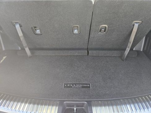 Used 2024 Kia Telluride SX Prestige X-Pro AWD/4WD image 33