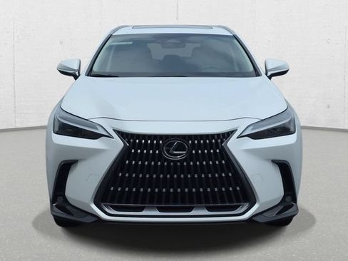 Certified 2024 Lexus NX 350h AWD w/ Cold Area Package image 2