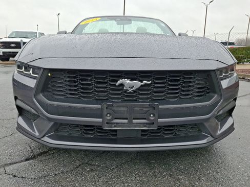 Certified 2024 Ford Mustang Premium image 2
