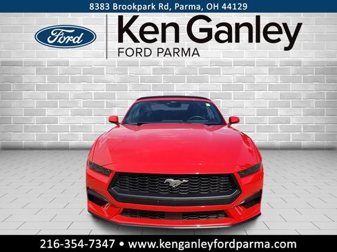 New 2025 Ford Mustang EcoBoost image 2