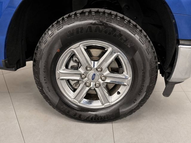 Used 2025 Ford F150 XLT w/ Equipment Group 301A Standard AWD/4WD image 19