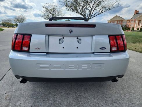 Used 2003 Ford Mustang Cobra RWD image 16