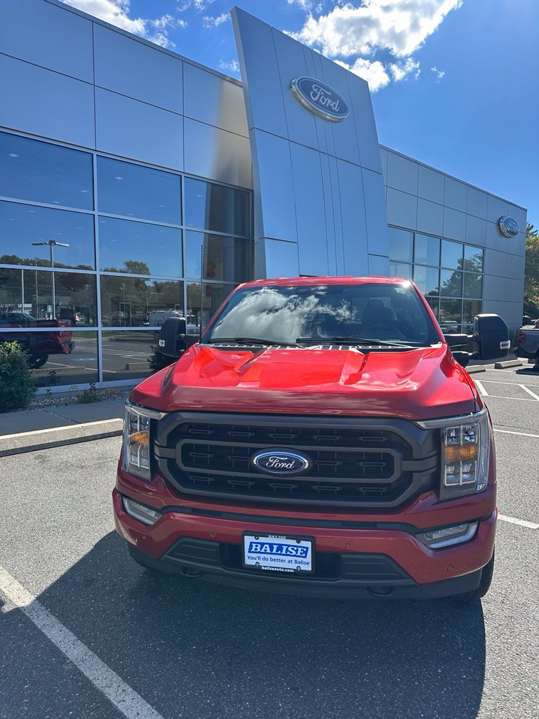 Used 2023 Ford F150 XLT w/ Equipment Group 302A High AWD/4WD image 2