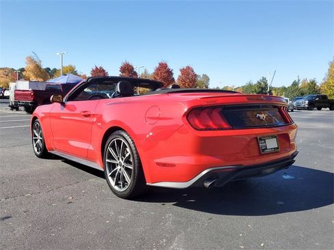 Used 2019 Ford Mustang Premium w/ Equipment Group 201A image 13