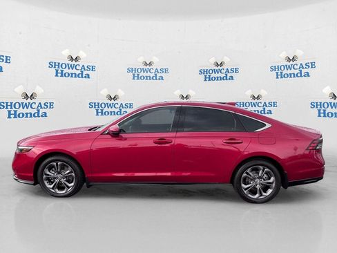 Certified 2025 Honda Accord EX-L image 4