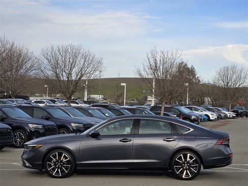 New 2025 Honda Accord Touring image 7