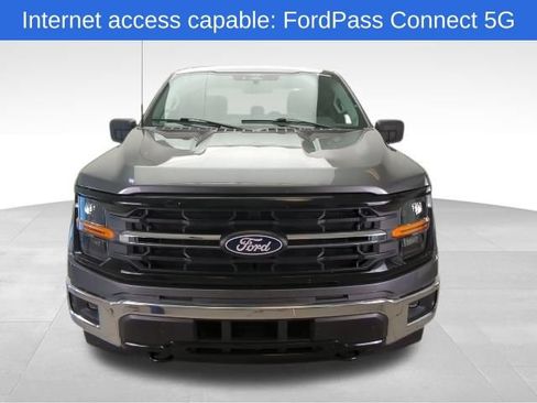 Used 2025 Ford F150 XLT w/ Equipment Group 301A Standard AWD/4WD image 11