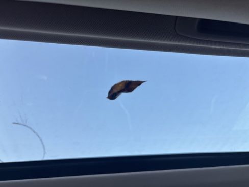 New 2025 Subaru Outback Premium image 16