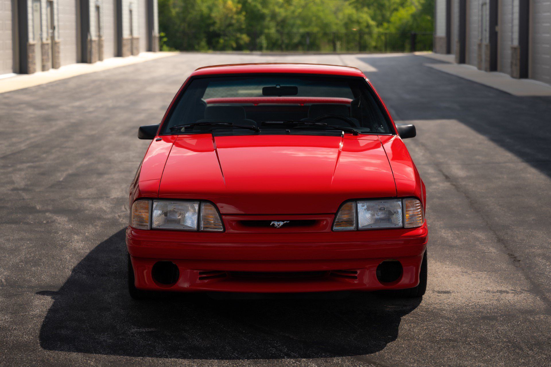 Used 1993 Ford Mustang Cobra RWD image 18