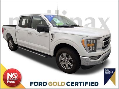Certified 2023 Ford F150 XLT w/ Equipment Group 302A High