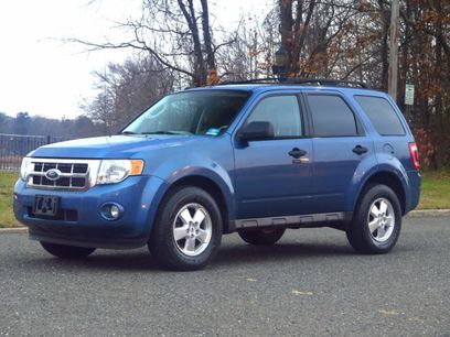 Used 2010 Ford Escape XLT