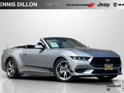 Used 2024 Ford Mustang Premium w/ Wheel & Stripe Package image 1