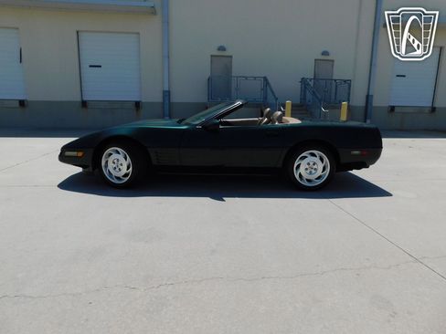 Used 1994 Chevrolet Corvette Convertible image 5