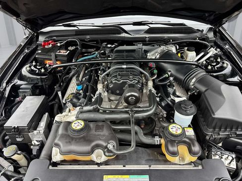 Used 2009 Ford Mustang Shelby GT500 RWD image 9