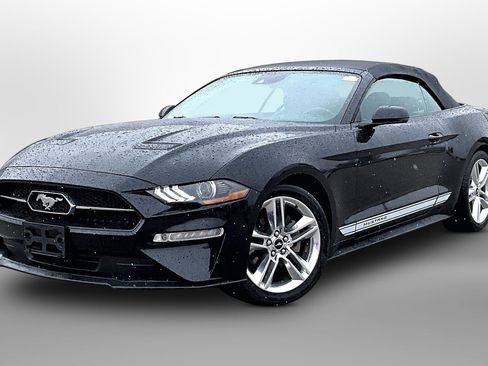 Used 2020 Ford Mustang Premium w/ Equipment Group 201A image 12