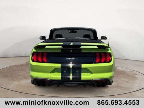 Used 2020 Ford Mustang GT Premium w/ Equipment Group 401A RWD image 4