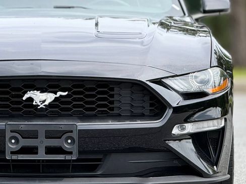 Used 2019 Ford Mustang Premium w/ Equipment Group 201A RWD image 15