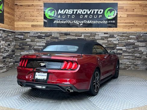 Used 2019 Ford Mustang Convertible w/ Equipment Group 101A RWD image 20