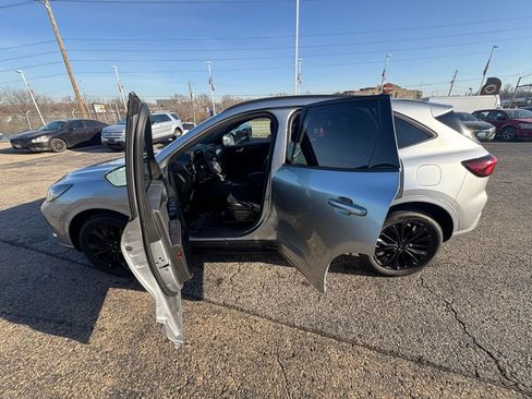 Used 2023 Ford Escape ST-Line Elite image 4
