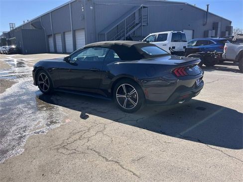 Certified 2024 Ford Mustang Premium image 6