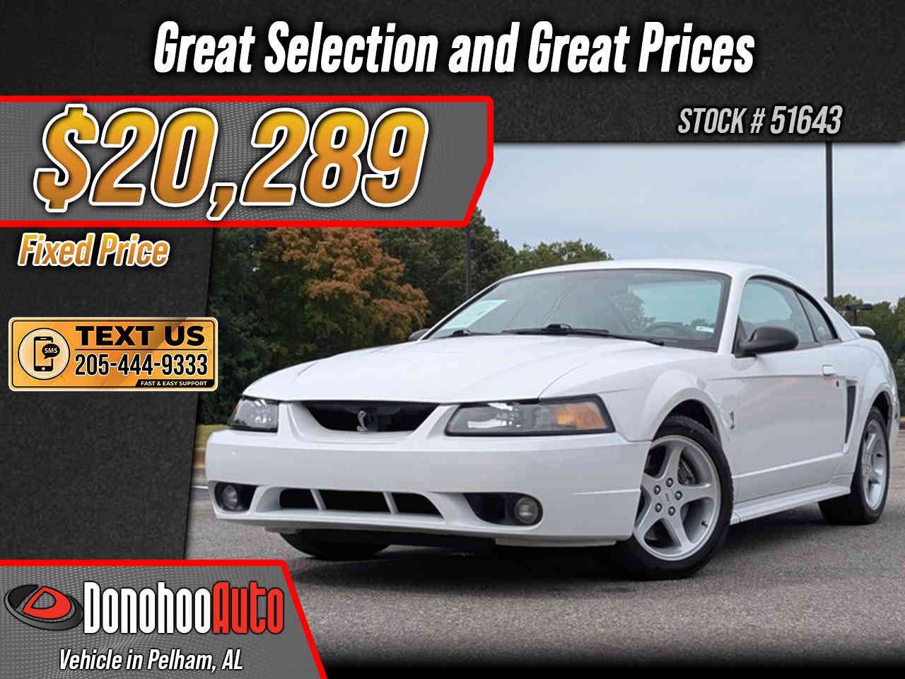 Used 2001 Ford Mustang Cobra RWD image 1