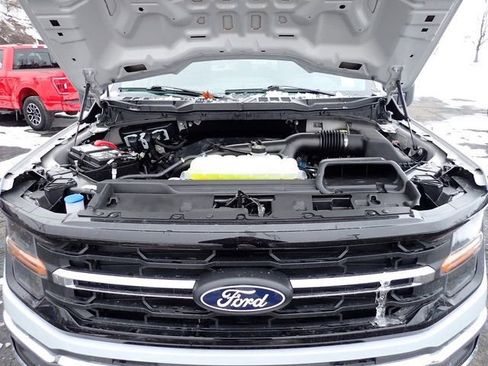 Certified 2025 Ford F150 XLT w/ Equipment Group 301A Standard image 14